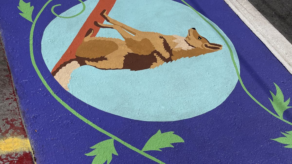 Close-up of a hand-painted street mural: a coyote and a white poppy on deep purple asphalt, right against the red curb.